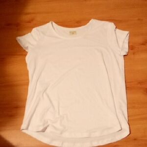 Chic White Blouse with Classic Design